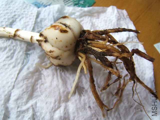 ������ȥ���Ǻܽ����Σ������¸���