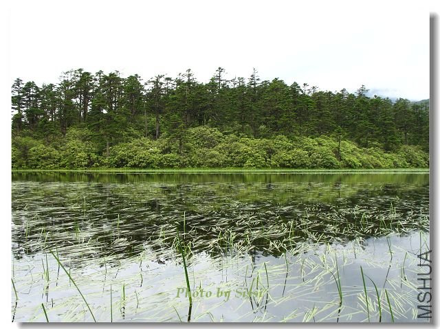 ������һ�´���ˮ��������һȦҰ���ž�ʢ��ʱ��������~