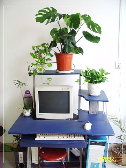 �ҵ���ɫ������~