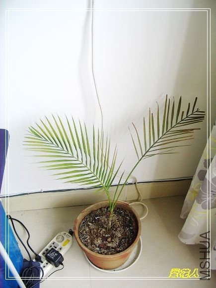 ��������������ɢβ��С��~