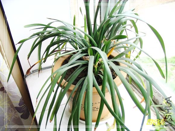 �Ҵ�С�����������~