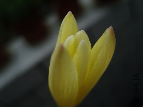 ���ó���ô?��Ƭ�ⲿ��һ��㵭���ĺ���!��Ƭ������,��������Ƭ!