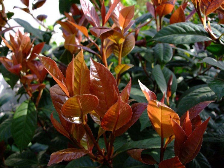 ��Ƭ09-4-21 03211.jpg