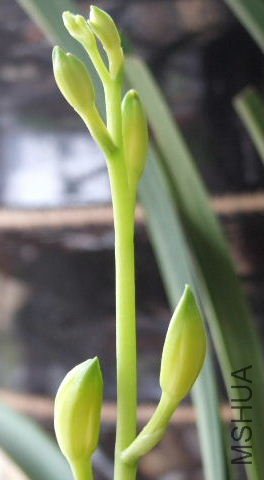 2009_08020034.JPG