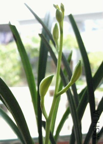 2009_08020031.JPG