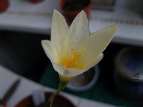 ������컨��ʱ����Ϊ���ص�,������ǵ����!