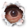 zz.gif