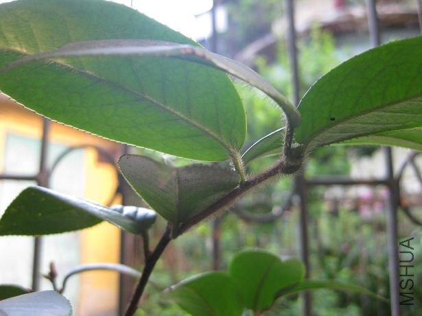 ���- - 003.jpg