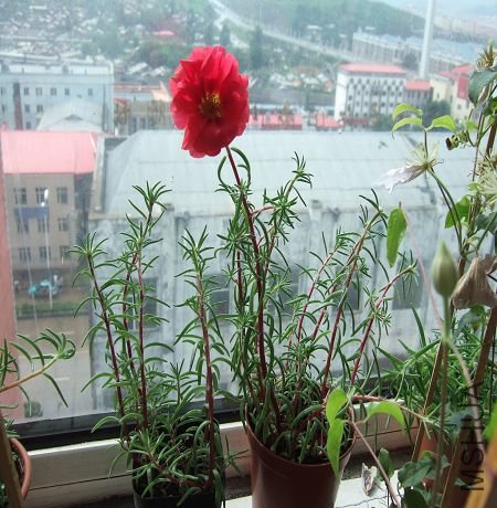 DSCF2902.JPG