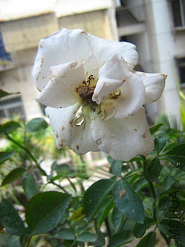 ��Ƭ 067.jpg
