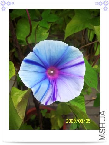 ���տ��� 032.jpg