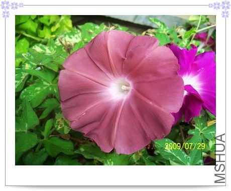 ��ɫ���� 049.jpg