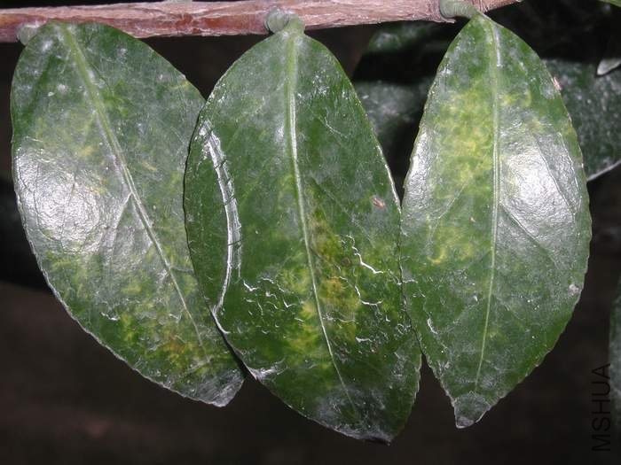 ������������