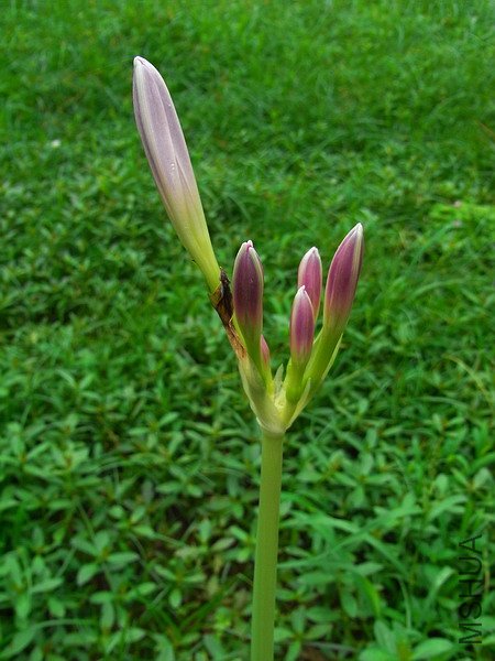RIMG0053.jpg