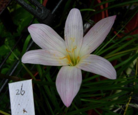 26. Z. Prairie sunset.jpg