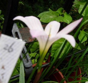 26. Z. Prairie sunset����.jpg