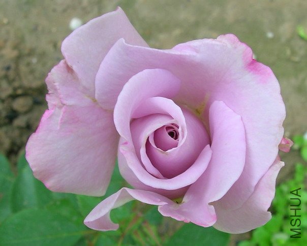 DSCN2914.JPG