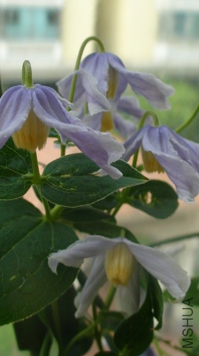 ��дһ�£�ϸ���������������ﶼ����ô����