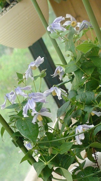 б������һ�ſ�������ʮ���䣡