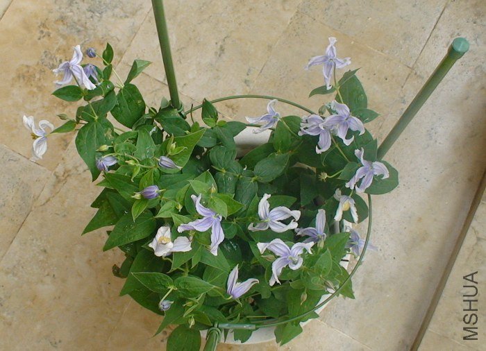 ���ӿ��Կ��������Ƿ�����䰡������Ļ����������أ�����������ģ��պ�17�䣡