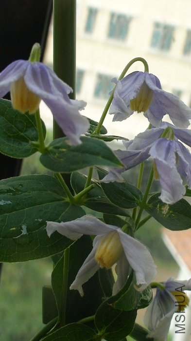 ����дһ�£�����������