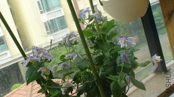 �Ѿ��ѵõ�ȫ���ˣ���������������20���𣿴��ֻ������17��8��ɣ�