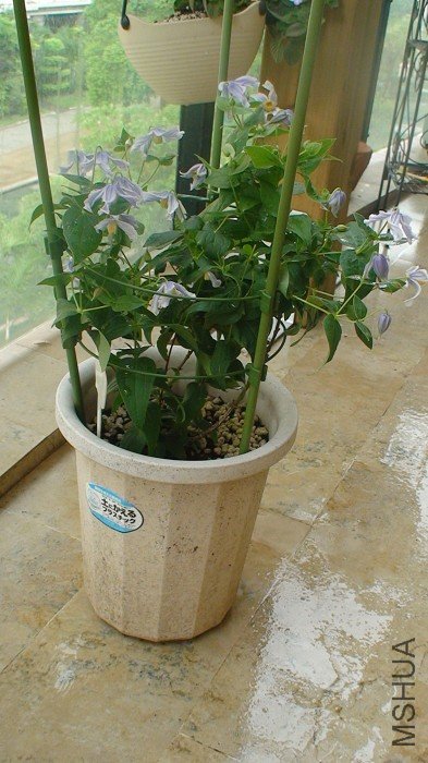 �������ȫ���հɣ�����ʵ�����ƬƯ����