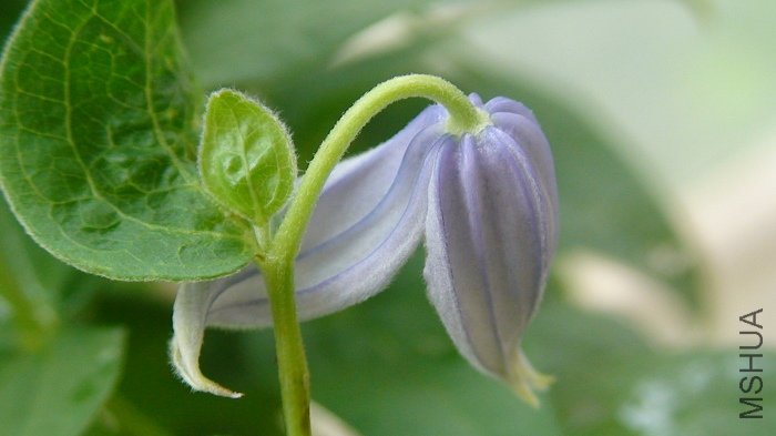 ��дһ�¿�������һ��о��ó�����