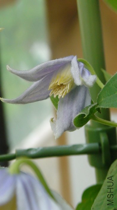 ���Ļ�������ͬʱ�򿪵ģ������Ѿ���ȫ����̬��һ���ɣ�