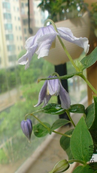 ���������˼���պ�������̬��һ�����