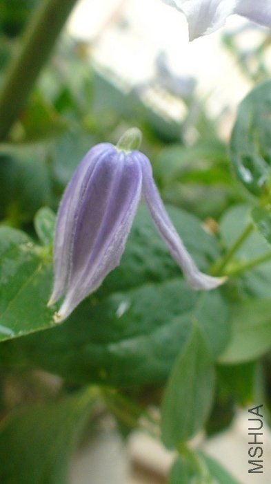 ���Ҳ���ȿ�һ�꣬��ȴû���������Ǿ������ɫɬ�Ĺ��ˡ��������Ǳ�˭Ӳ���������ӣ�