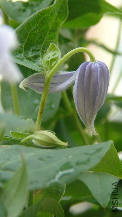 �տ�һ������ӣ�һ��Ҫ���������������Ǻ��ߵش�����ͷ��