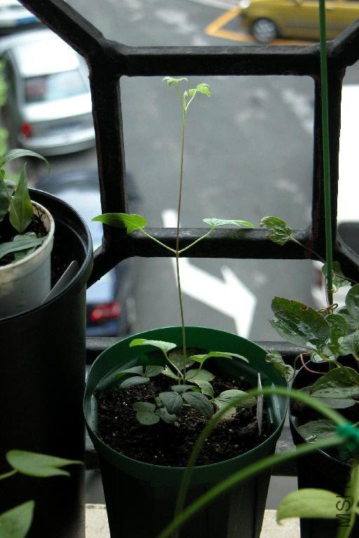 09.8.7 (2�²���).JPG