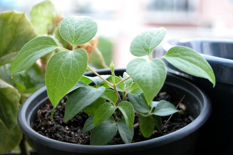 09.8.7 (2�²���)..JPG