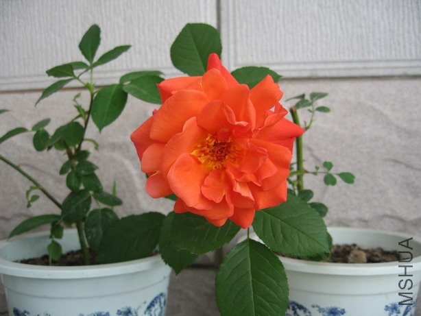 ��Ƭ 013_��С��С.jpg