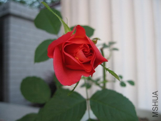 ��Ƭ 010_��С��С.jpg