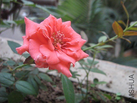 ��Ƭ 049.jpg