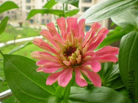 ������С ��Ƭ 056.jpg