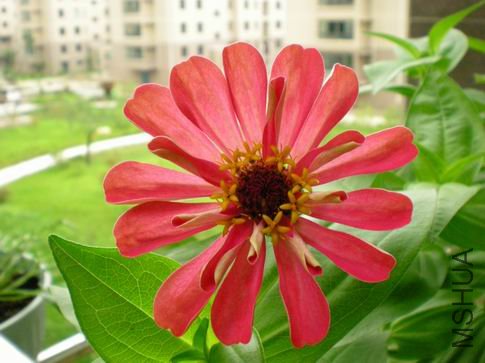 ������С ��Ƭ 042.jpg