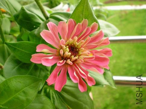 ������С ��Ƭ 049.jpg