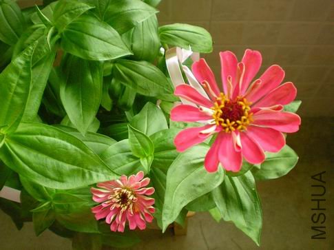 ������С ��Ƭ 060.jpg