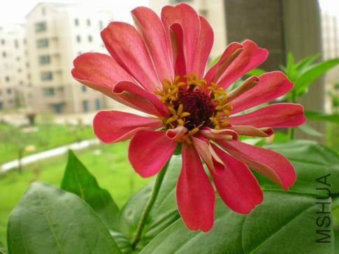 ������С ��Ƭ 043.jpg