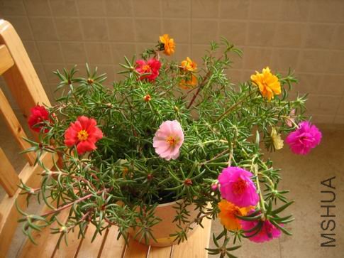 ������С ��Ƭ 090.jpg