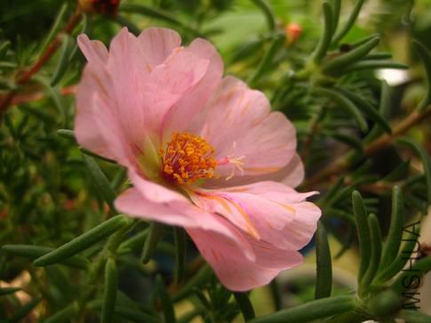 ������С ��Ƭ 049.jpg