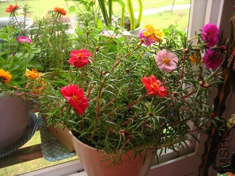 ������С ��Ƭ 080.jpg