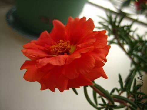 ������С ��Ƭ 045.jpg