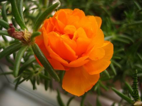 ������С ��Ƭ 036.jpg