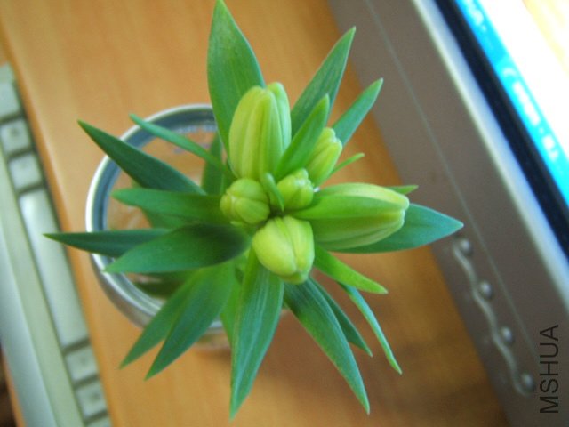 ����������ҽ��~~