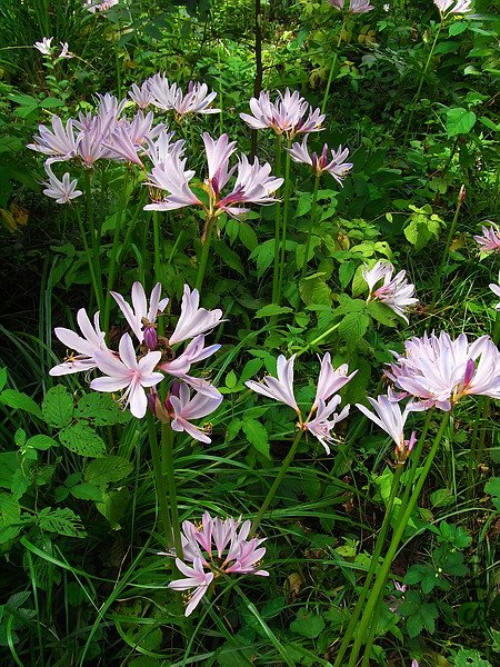 RIMG0083.jpg