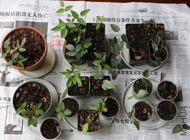 ������С ��Ƭ 006.jpg